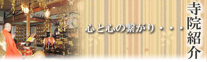 寺院紹介 心と心の繋がり